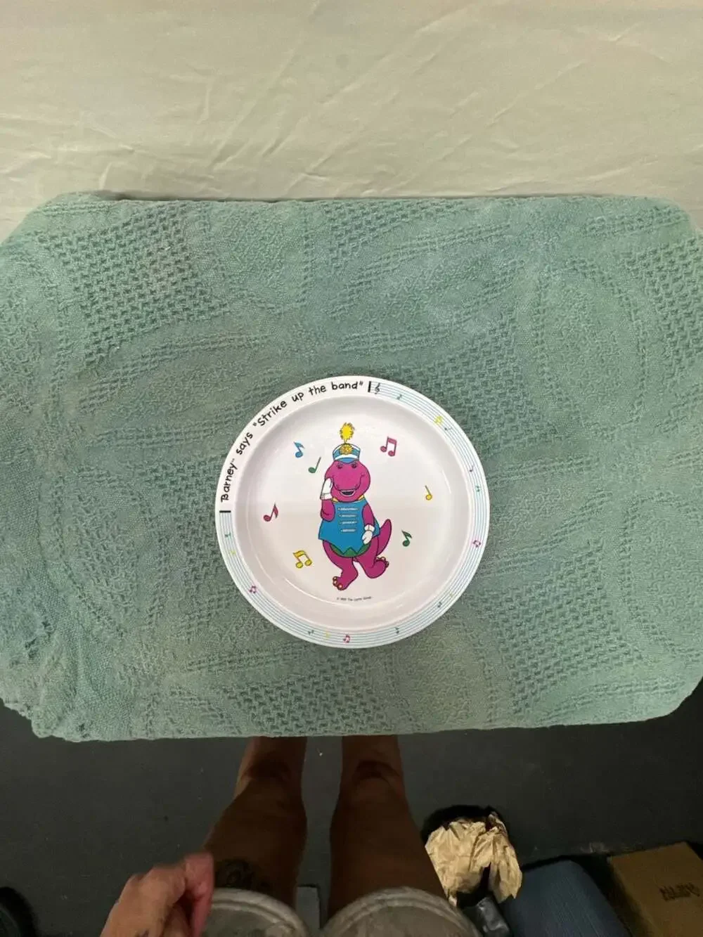 Vintage 1992 Barney & Friends Strike Up The Band Child's Melamine Plate